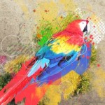 Abstract Parrot Manipulation