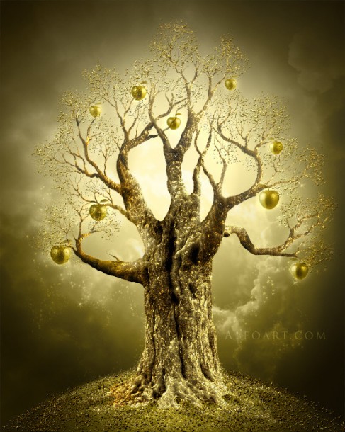 Golden Apple Tree