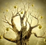 Golden Apple Tree
