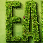 Spectacular Grass Text Effect